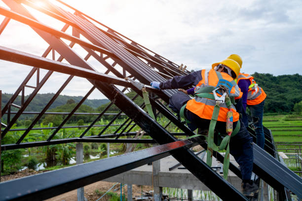 Best Roof Repair Services  in Lyons, WI